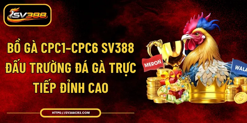 Bồ Gà CPC1–CPC6 SV388 - Đấu Trường Đá Gà Trực Tiếp Đỉnh Cao 1 Bồ Gà CPC1–CPC6 SV388 - Đấu Trường Đá Gà Trực Tiếp Đỉnh Cao