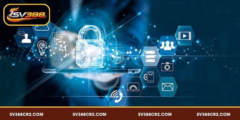 Chính Sách Bảo Mật SV388 - Nền Tảng An Toàn Cho Hội Viên 3 Các nhóm dữ liệu SV388 thu thập và phương thức quản lý