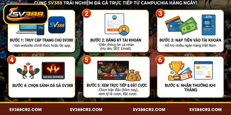 Đá Gà Trực Tiếp Hôm Nay SV388 - Xem Ngay Các Trận Kịch Tính 4 Cách xem trực tiếp đá gà Campuchia hôm nay trên SV388 dễ dàng