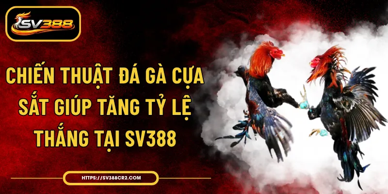 Chiến Thuật Đá Gà Cựa Sắt Giúp Tăng Tỷ Lệ Thắng Tại SV388