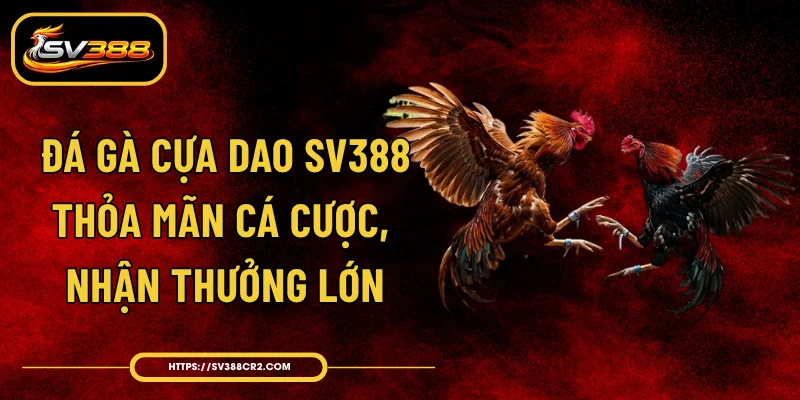 Đá Gà Cựa Dao SV388 - Thỏa Mãn Cá Cược, Nhận Thưởng Lớn