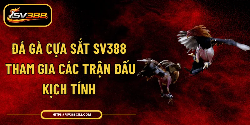 Đá Gà Cựa Sắt SV388 - Tham Gia Các Trận Đấu Kịch Tính