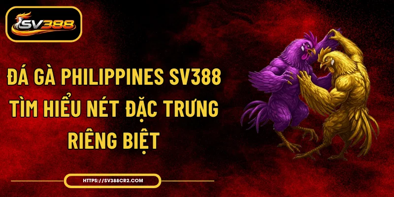 Đá Gà Philippines SV388 - Tìm Hiểu Nét Đặc Trưng Riêng Biệt