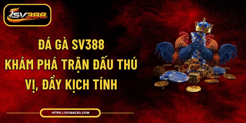 Đá Gà SV388 - Khám Phá Trận Đấu Thú Vị, Đầy Kịch Tính