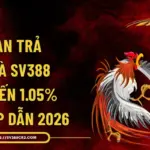 Hoàn trả đá gà SV388 lên đến 1.05% cực hấp dẫn 2026