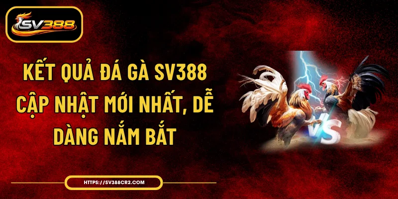 Kết Quả Đá Gà SV388 - Cập Nhật Mới Nhất, Dễ Dàng Nắm Bắt