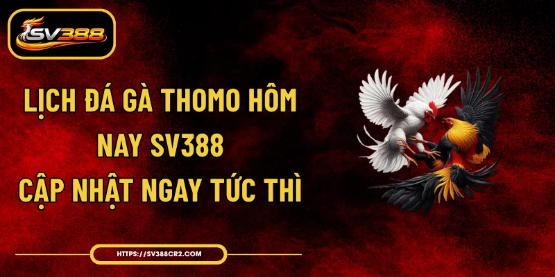 Lịch Đá Gà Thomo Hôm Nay SV388 - Cập Nhật Ngay Tức Thì 1 Lịch Đá Gà Thomo Hôm Nay SV388 - Cập Nhật Ngay Tức Thì