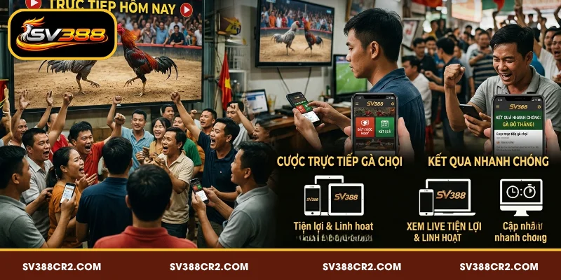 Đá Gà Trực Tiếp Hôm Nay SV388 - Xem Ngay Các Trận Kịch Tính 3 Lợi ích khi xem đá gà live trên SV388