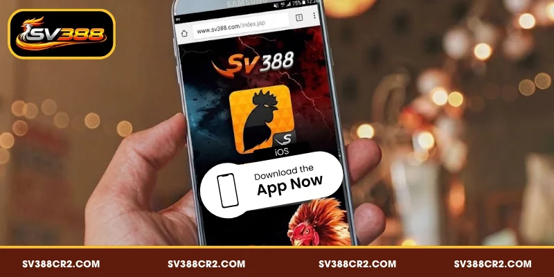 Quy trình tải và cài đặt SV388 app iOS đơn giản, dễ thực hiện
