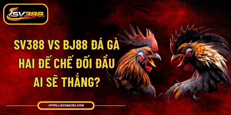 SV388 VS BJ88 Đá Gà - Hai Đế Chế Đối Đầu Ai Sẽ Thắng?