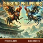 Tìm hiểu nét đặc trưng của Sabong Philippines tại SV388