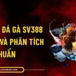 Tỷ Lệ Kèo Đá Gà SV388 - Cách Xem Và Phân Tích Chuẩn