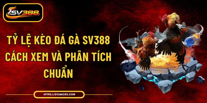 Tỷ Lệ Kèo Đá Gà SV388 - Cách Xem Và Phân Tích Chuẩn 1 Tỷ Lệ Kèo Đá Gà SV388 - Cách Xem Và Phân Tích Chuẩn